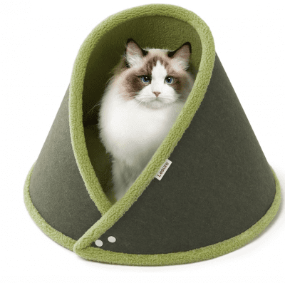 olive cat bed
