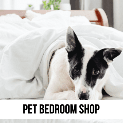 dog cat pet bedroom shop decor 