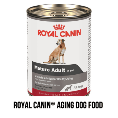 aging mature elderly dog pet food breed royal canin