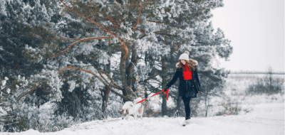 snow dog walking lady red shirt mountain winter