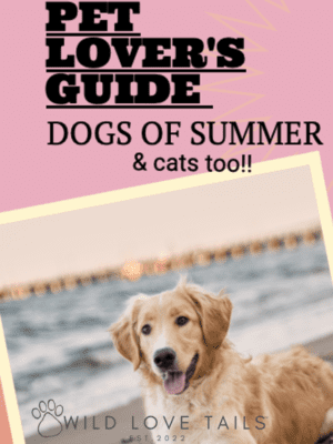 Wild Love Tails Pet Shop – Pet Lover’s Guide – Dogs of Summer