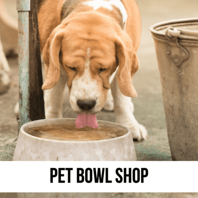dog cat pet food bowl water shop supplies 