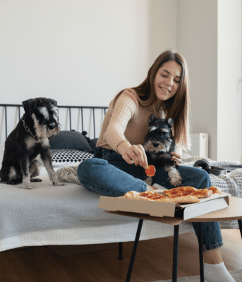 schnauzer dogs bed table pizza metal legs 