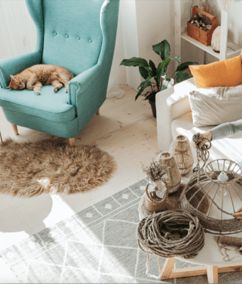 cat sleeping on chair modern interior design pet home