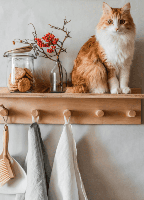 cat coat rack organization treats decor wall art accessories kitty 
