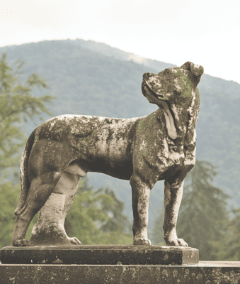 rustic vintage outdoor dog statue art artwork garden