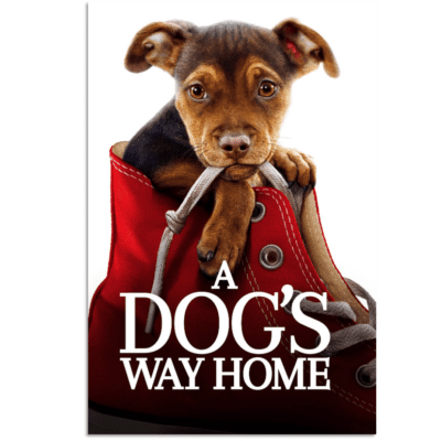 movies about dogs