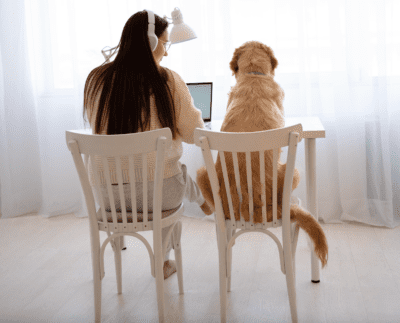 pet - human communication computer learning AI dog cat animal talk understanding advancements 