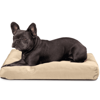 antique pet cushion bed mattress frenchie