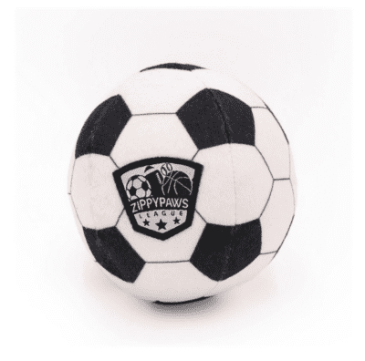 sports dog balls soccer