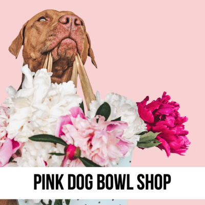 pink dog bowls