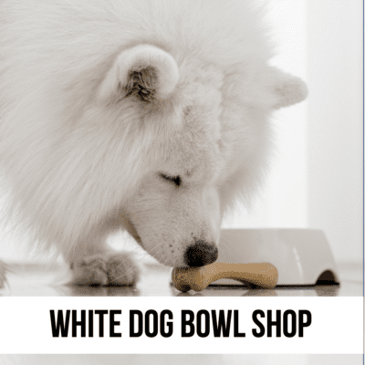 dog bowls by color