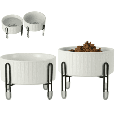 modern dog bowl
