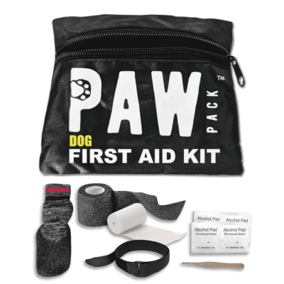 road trip dog first aid