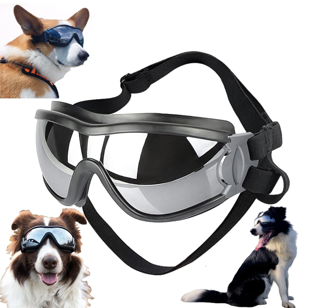 Goggles to keep wind and debris out of your large furry friend's eyes