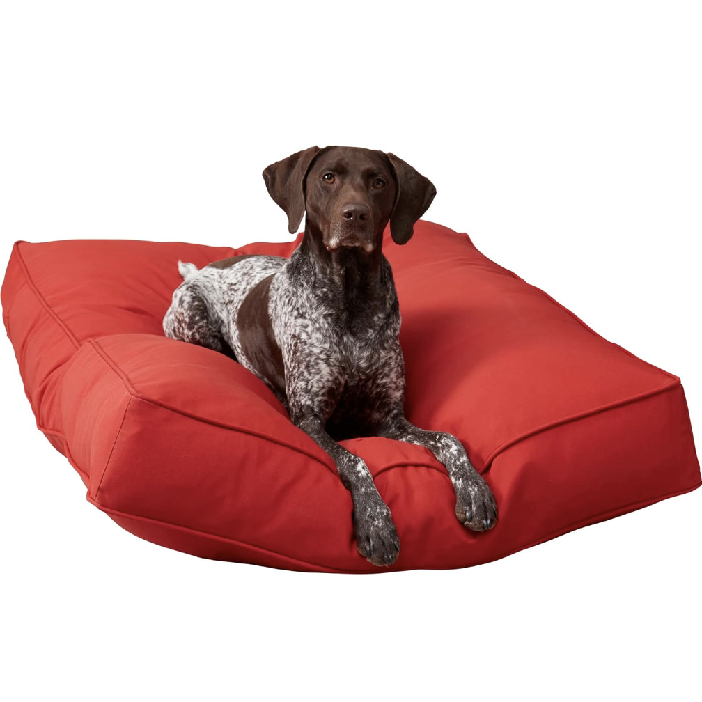 red dog bed