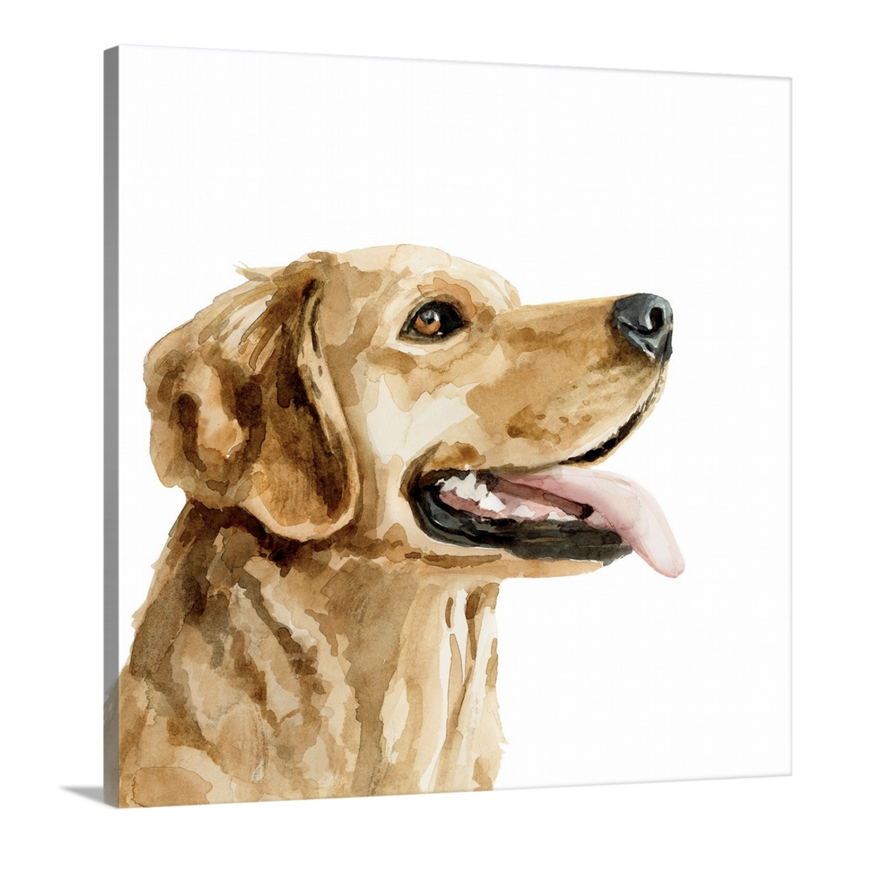  Golden Retriever Canvas