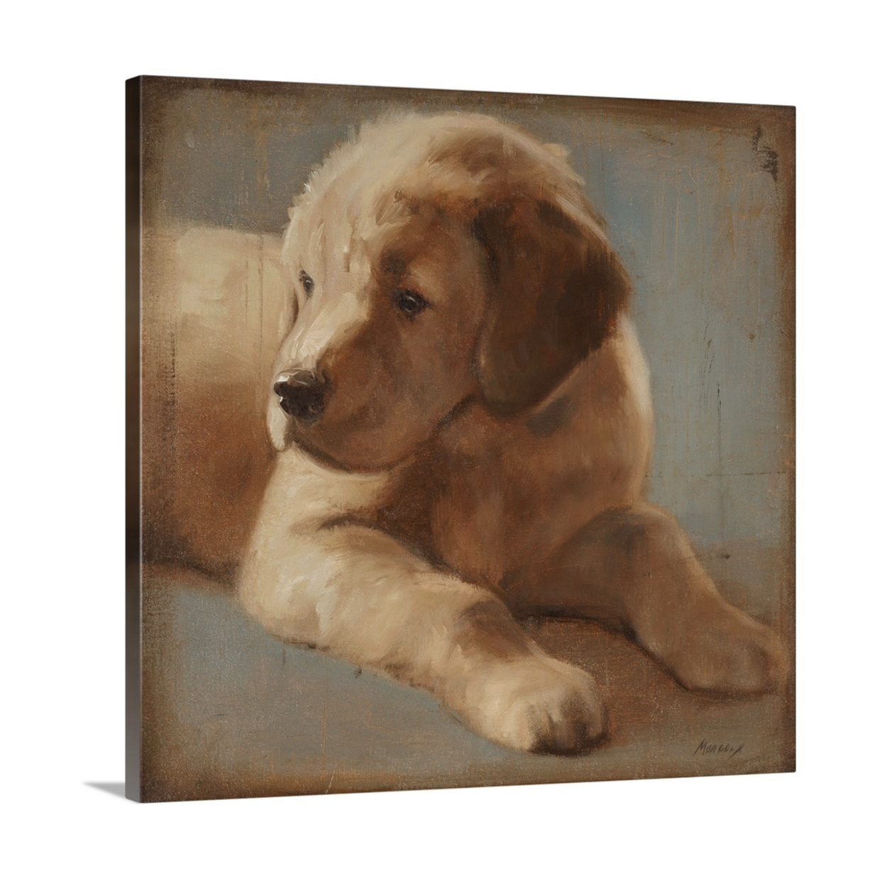 Golden Retriever Puppy Canvas