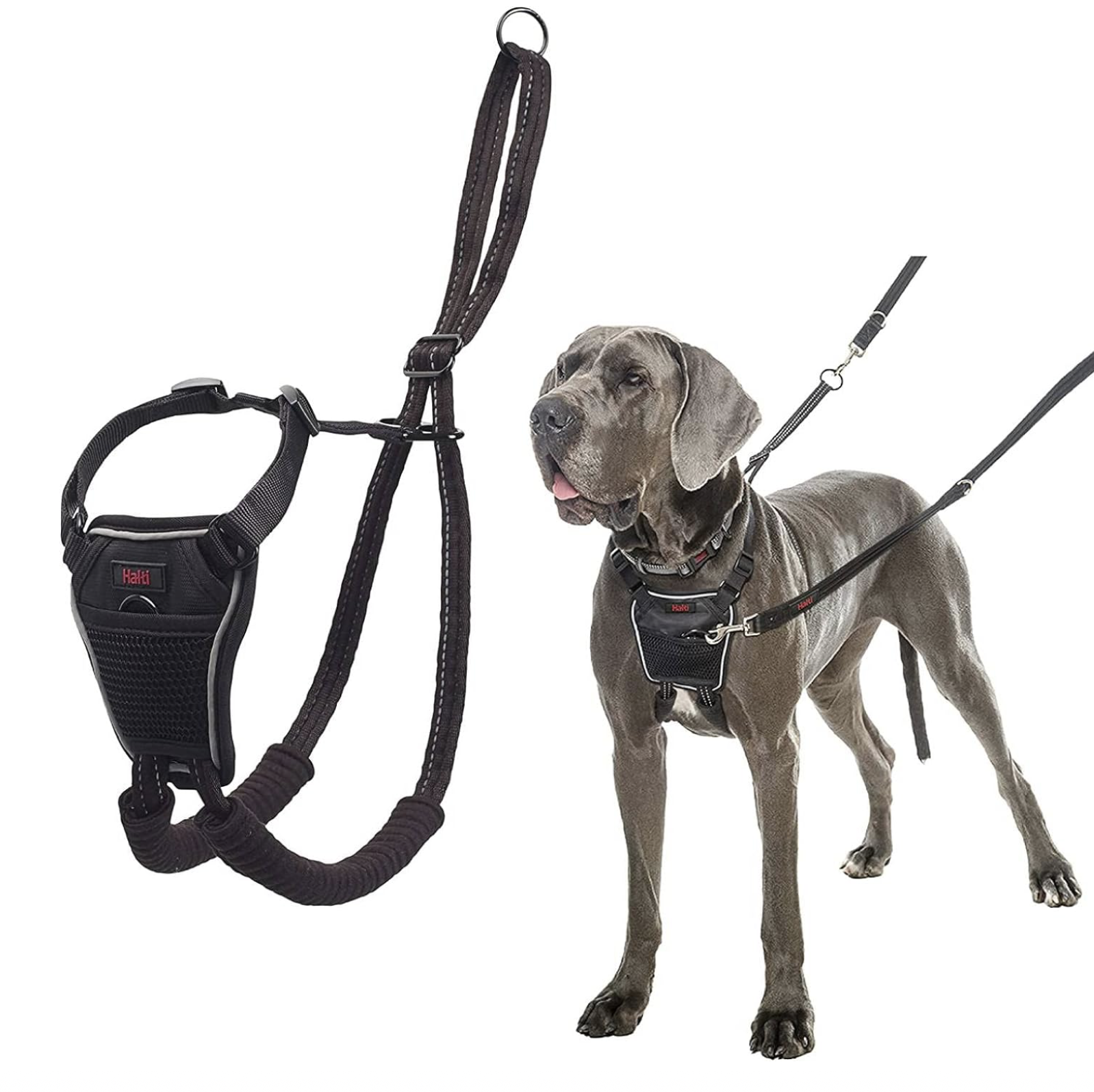 no pull dog harness 