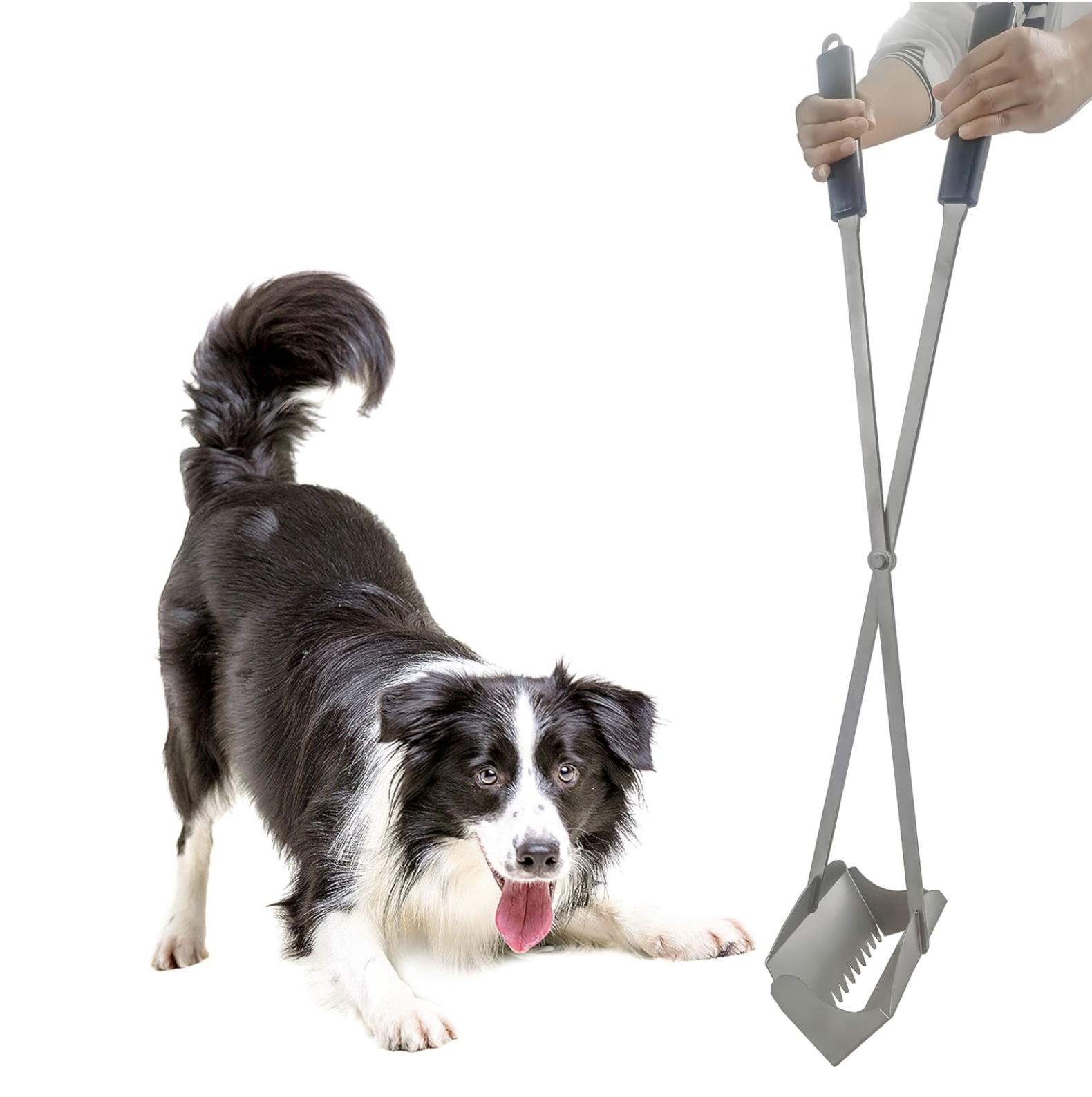 hands free stainless steel poop pick up rake for pets