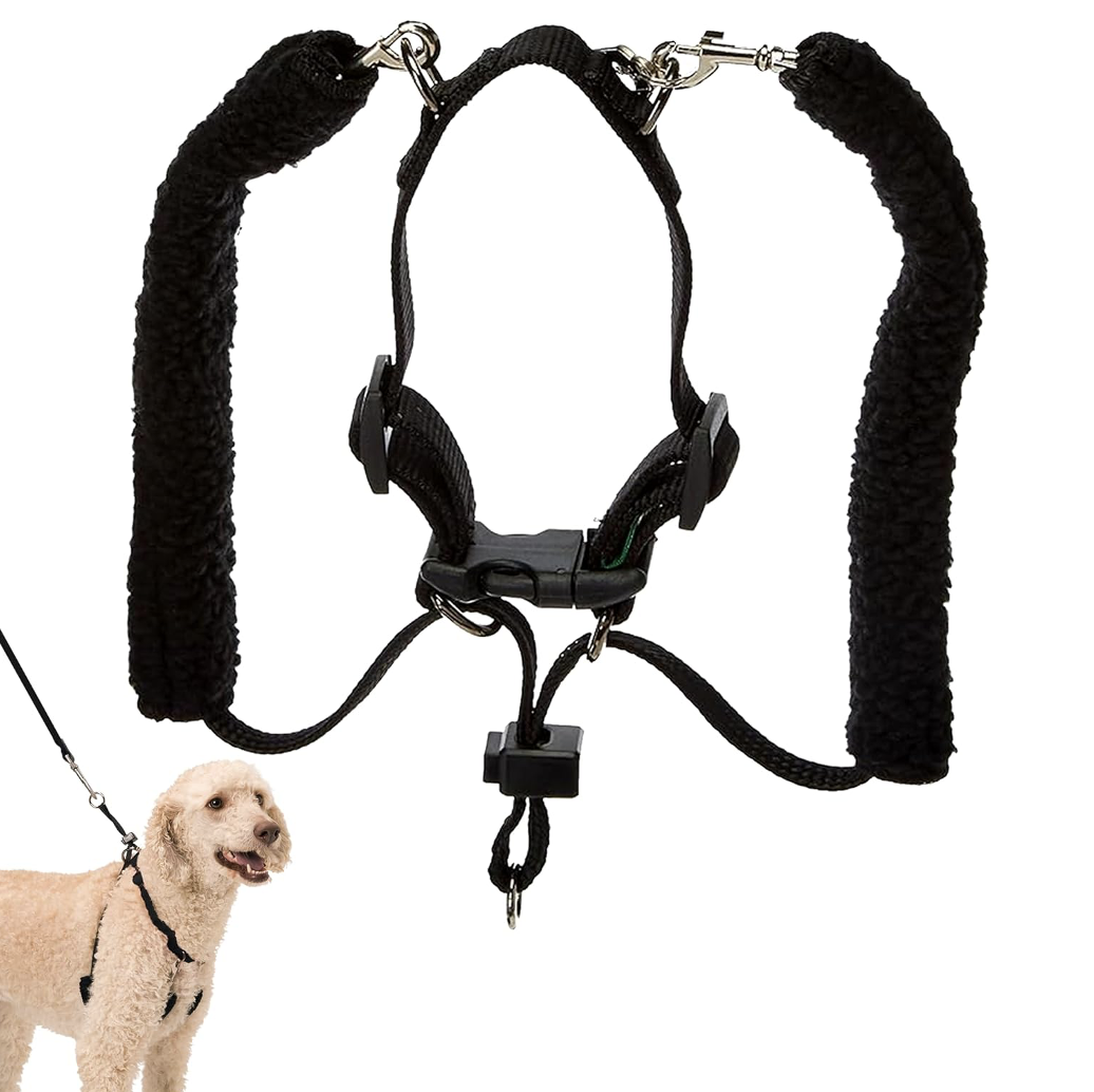 dog halter harness