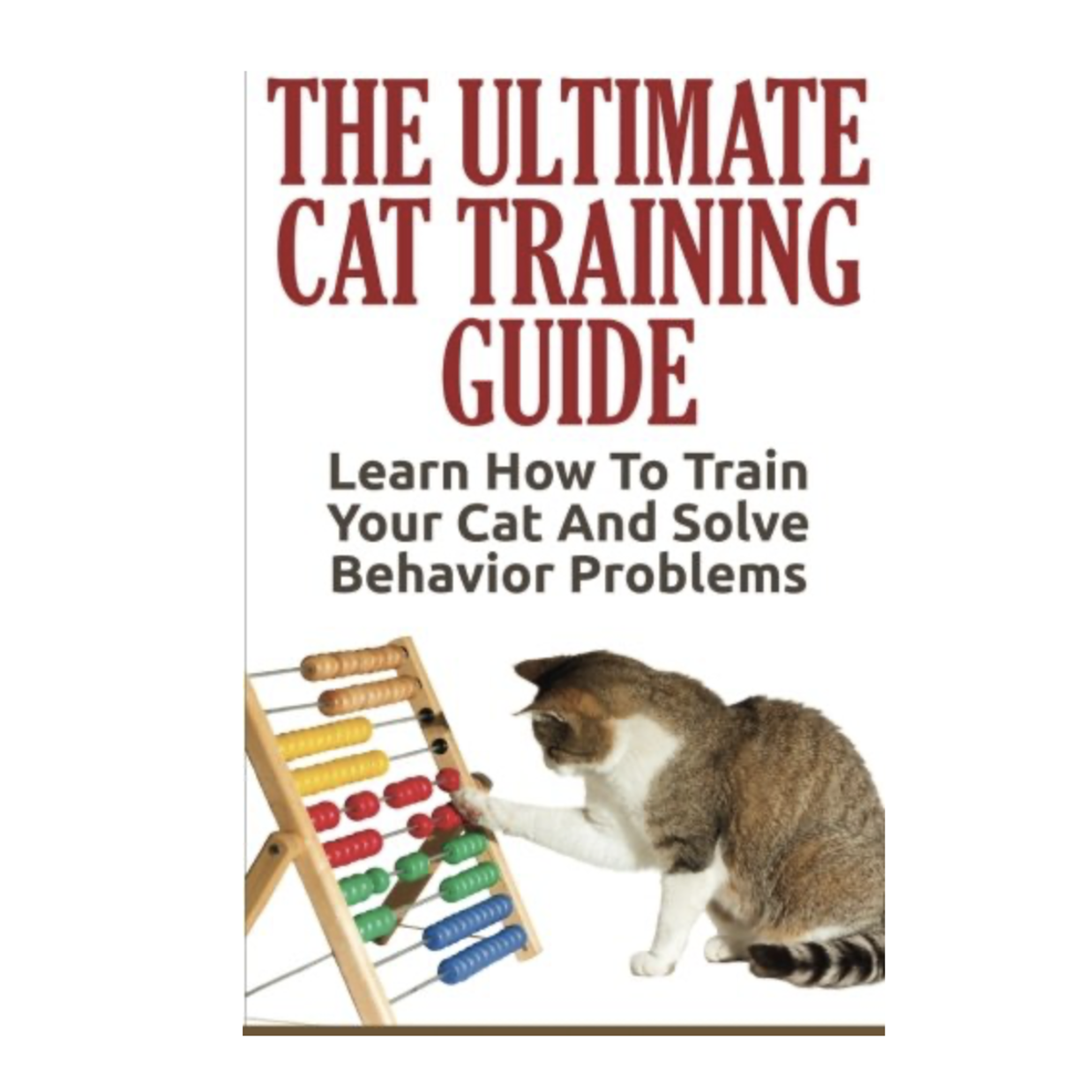 ways to train cat solve behavior problems