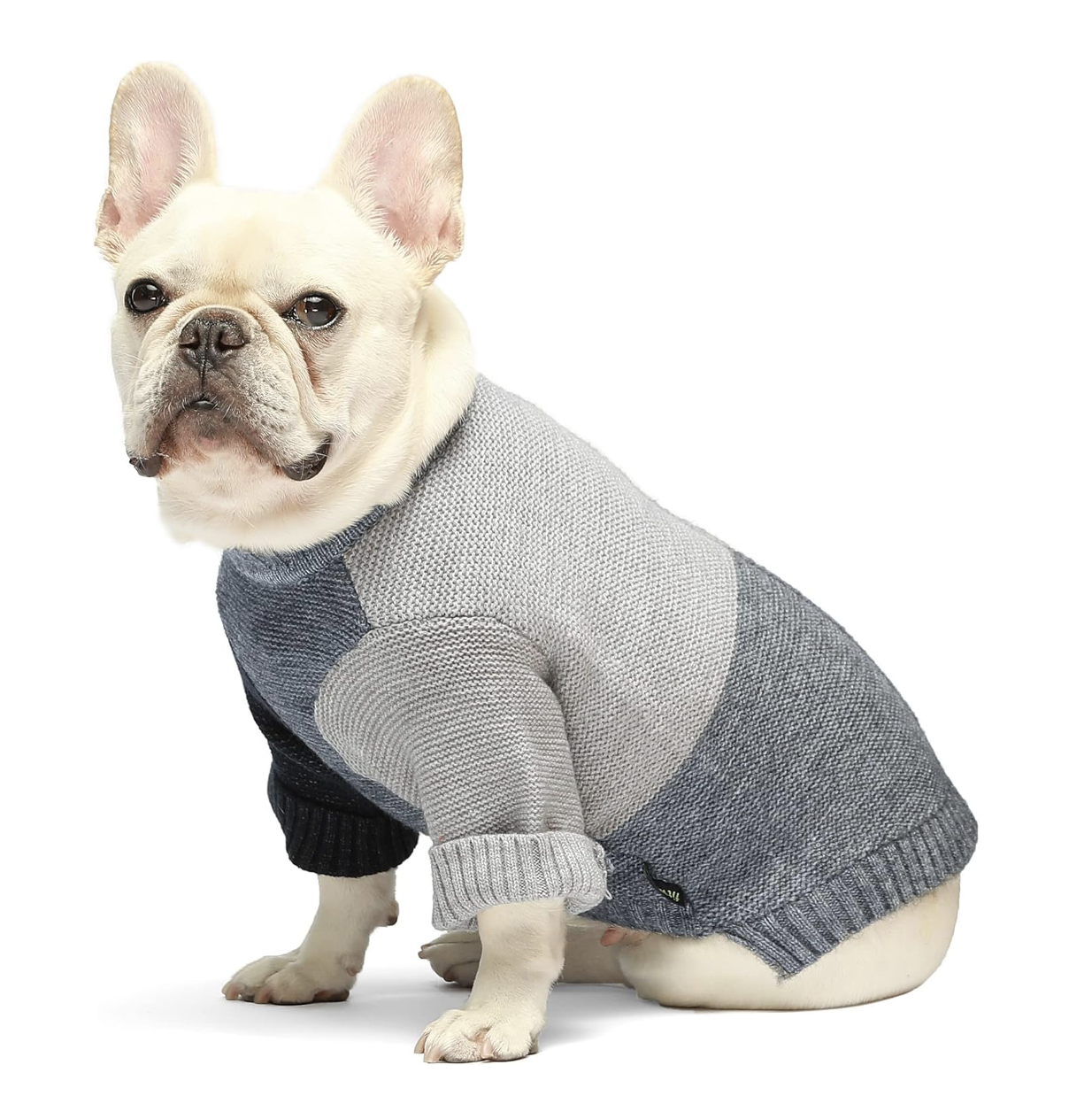 grey color block dog sweater