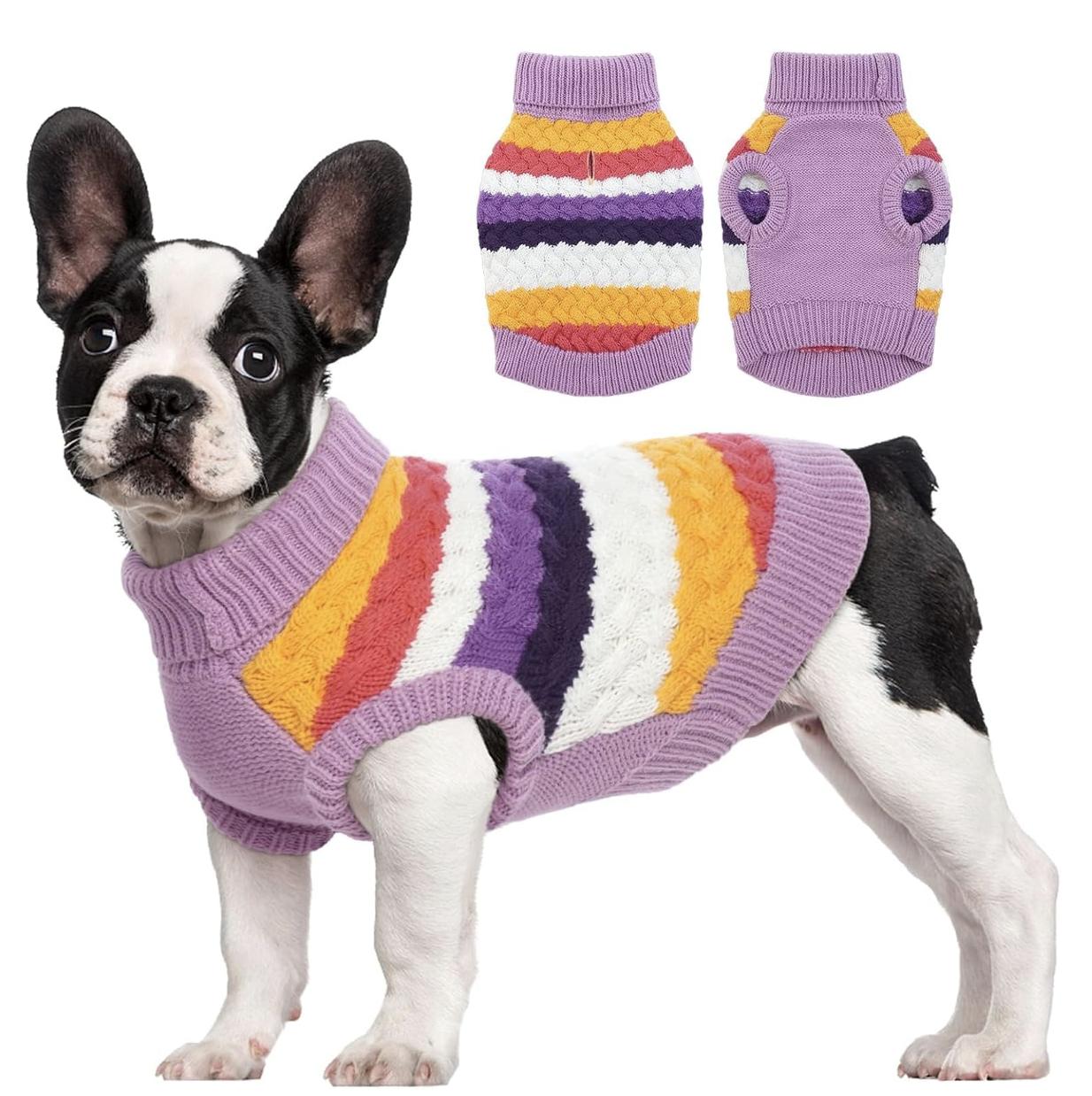 purple dog sweater with yellow pink and purple stripes