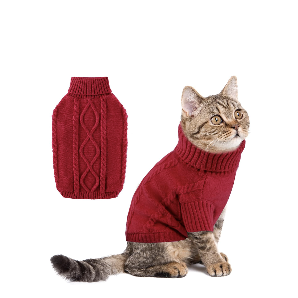 red dog sweater