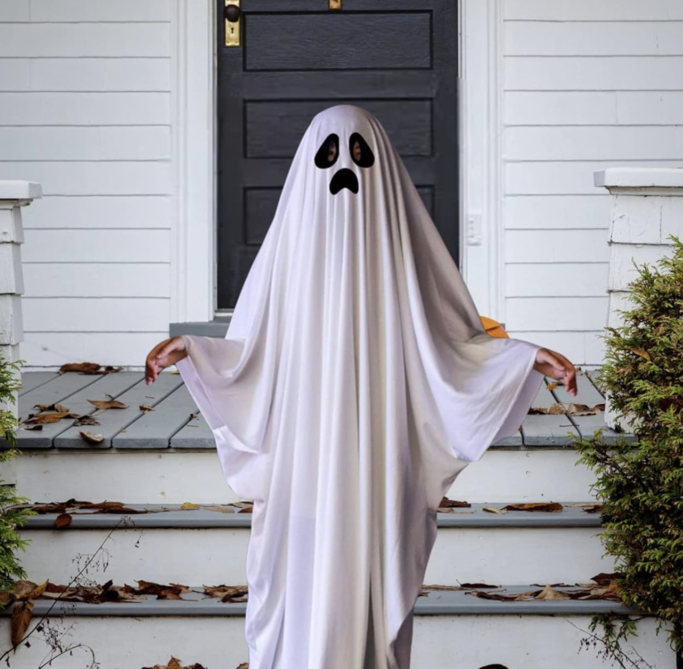 adult ghost costume