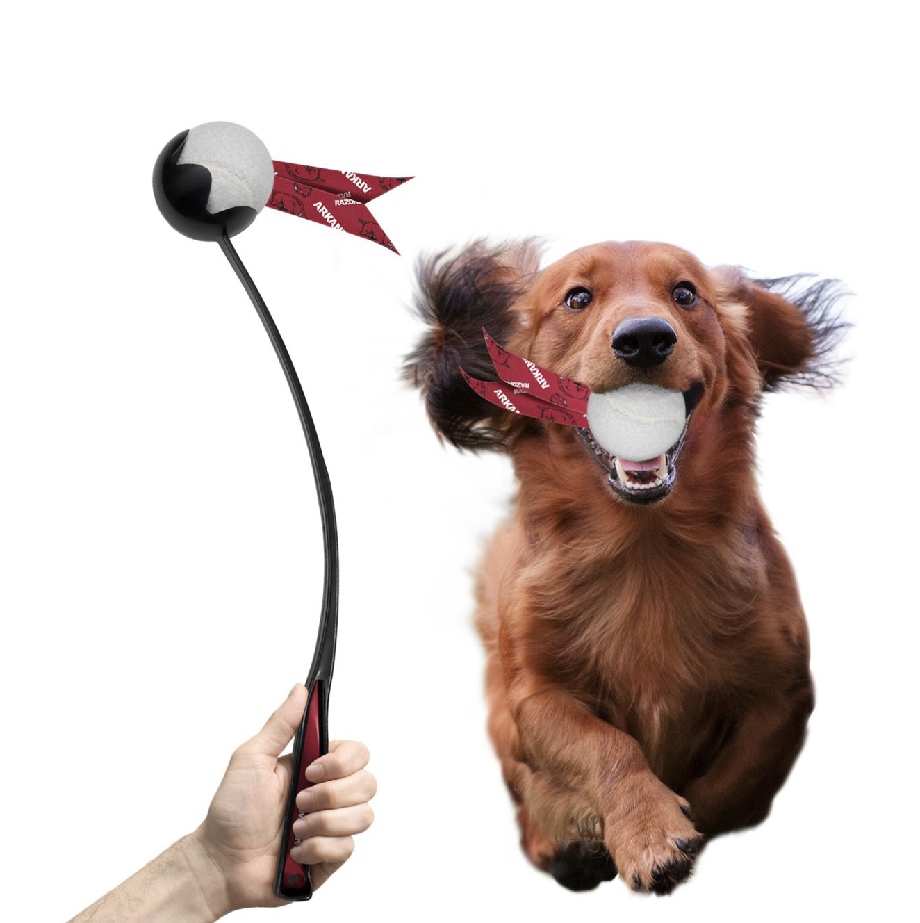 tennis ball launcher dog toy 