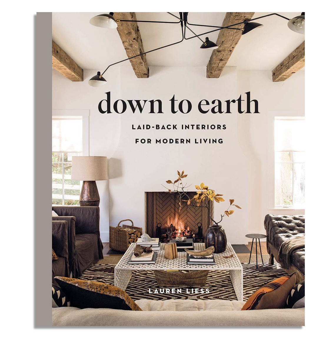 down to earth causal pet friendly home decor book