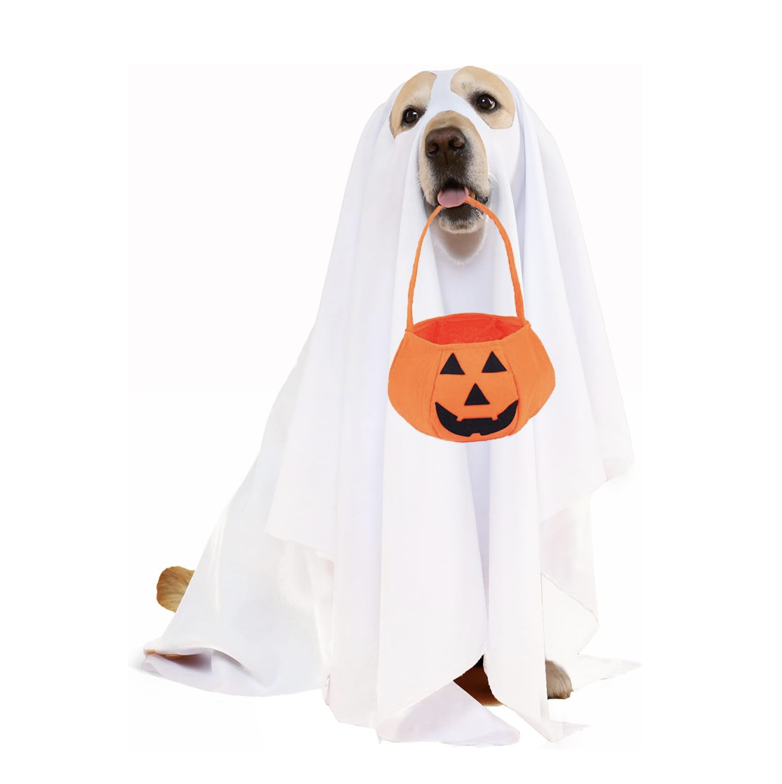 dog ghost costume 