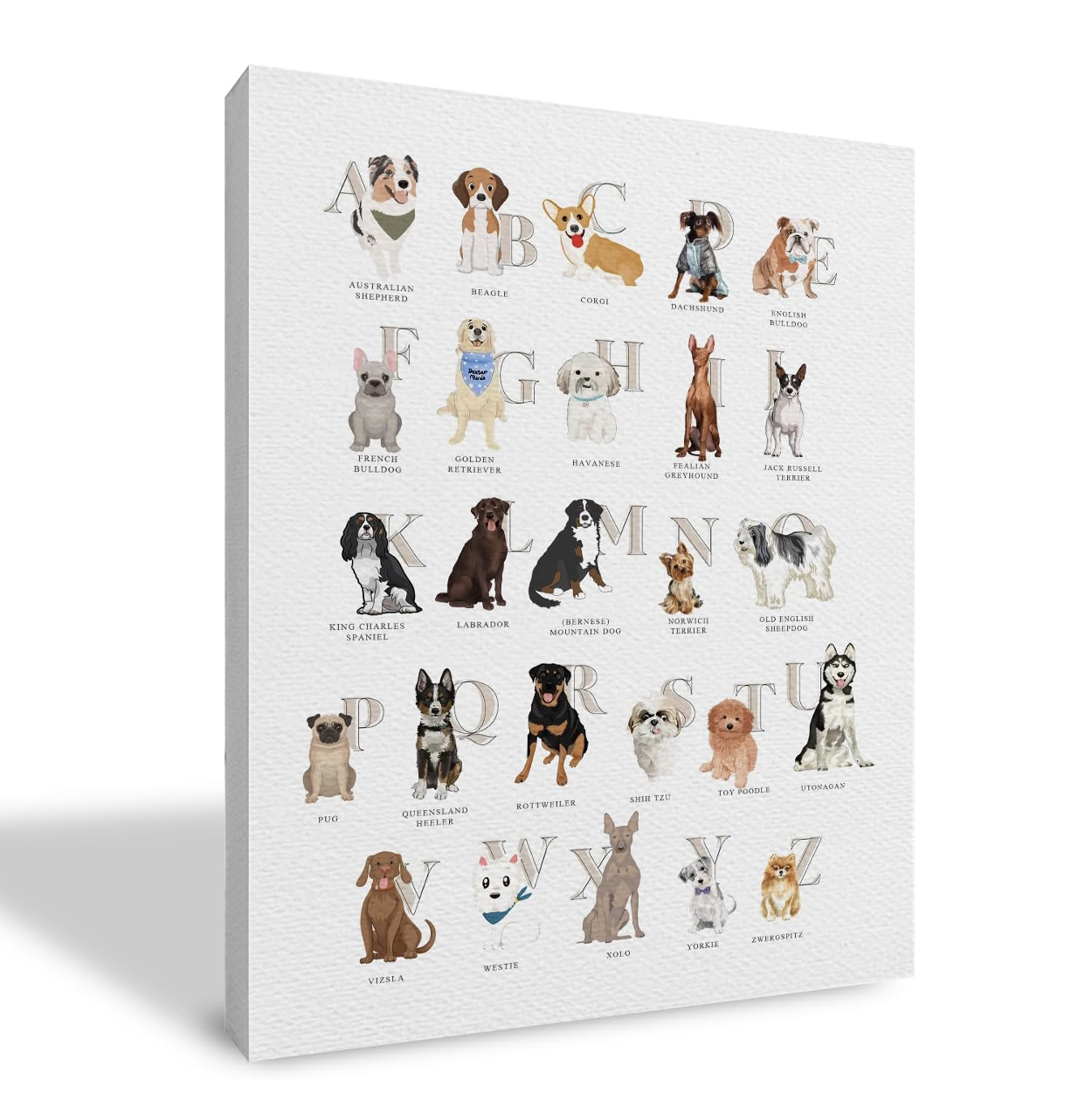 dog breed alphabet nursery classroom decor pet lover 