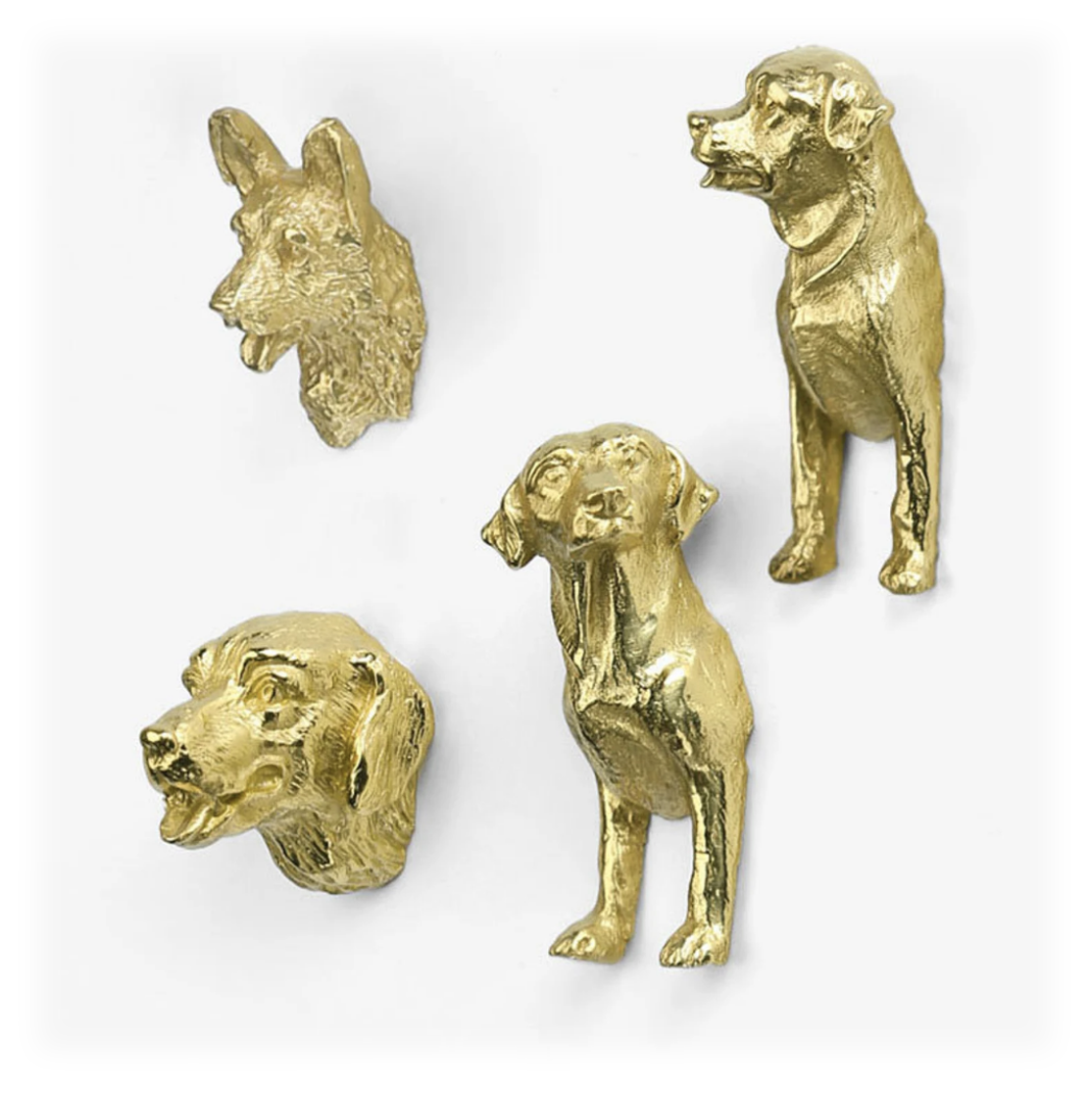 Brass gold knobs nursery dog cat pet animal golden retriever german shepherd lab labrador 