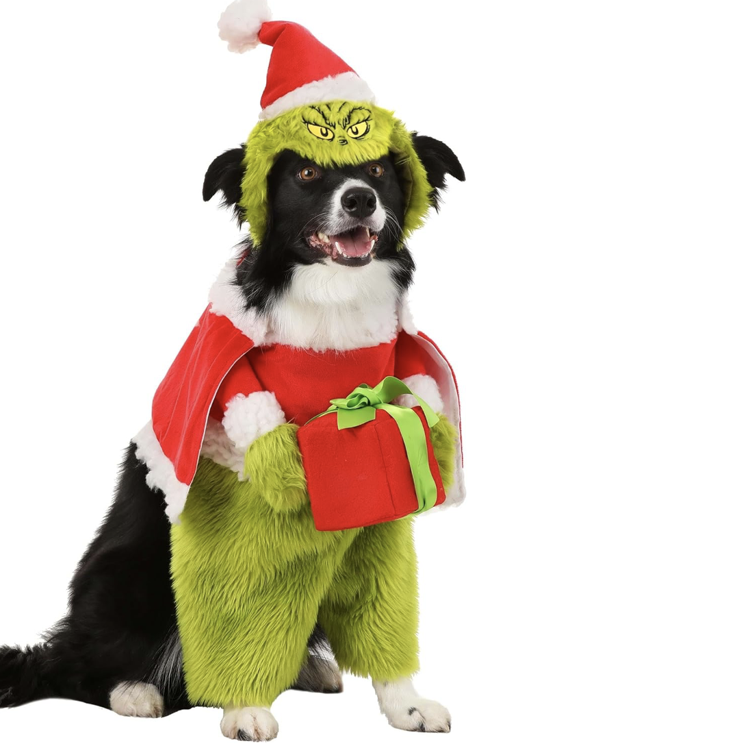 Grinch Dog Costume 