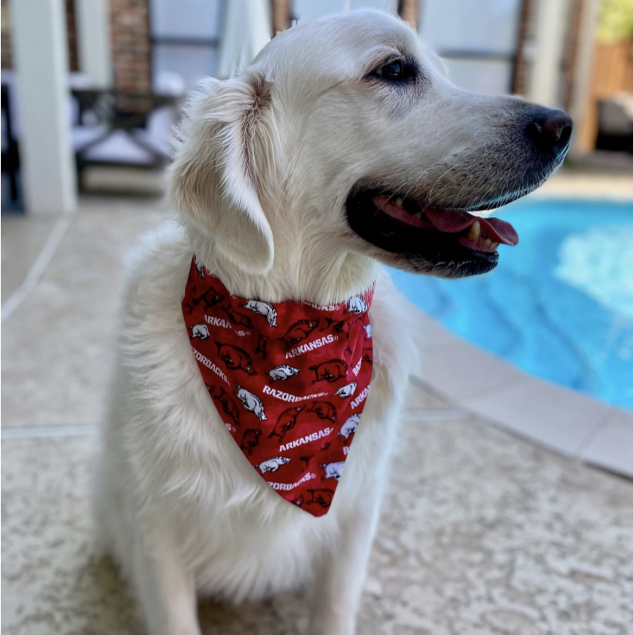 ark razorbacks dog scarf handmade 