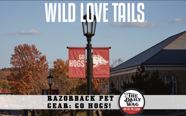 ark arkansas razorback go hogs pet dog shirt supplies gifts