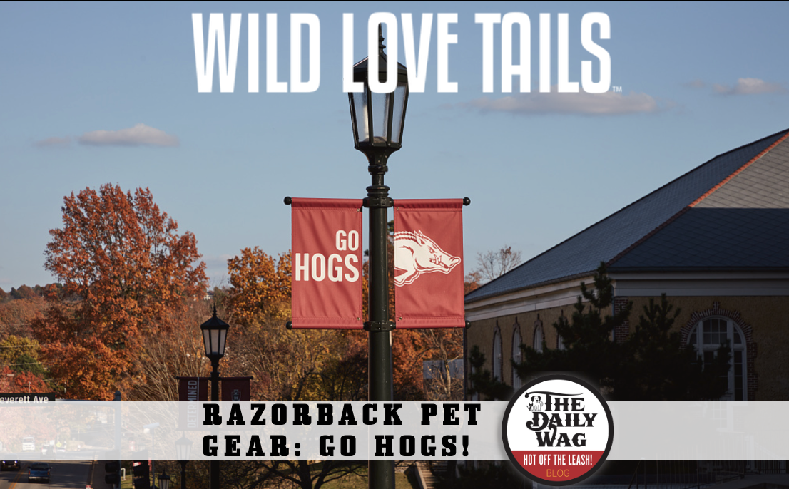 ark arkansas razorback go hogs pet dog shirt supplies gifts