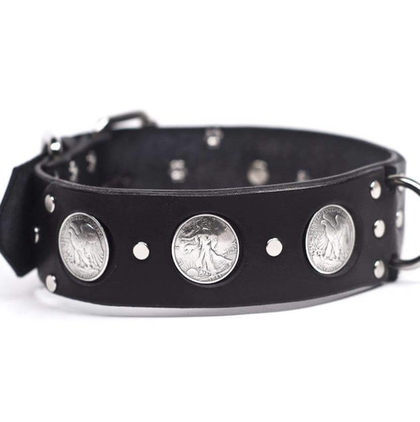 fashion dog collars 