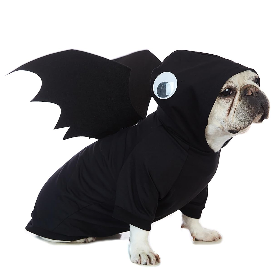 dog bat shirt and wings