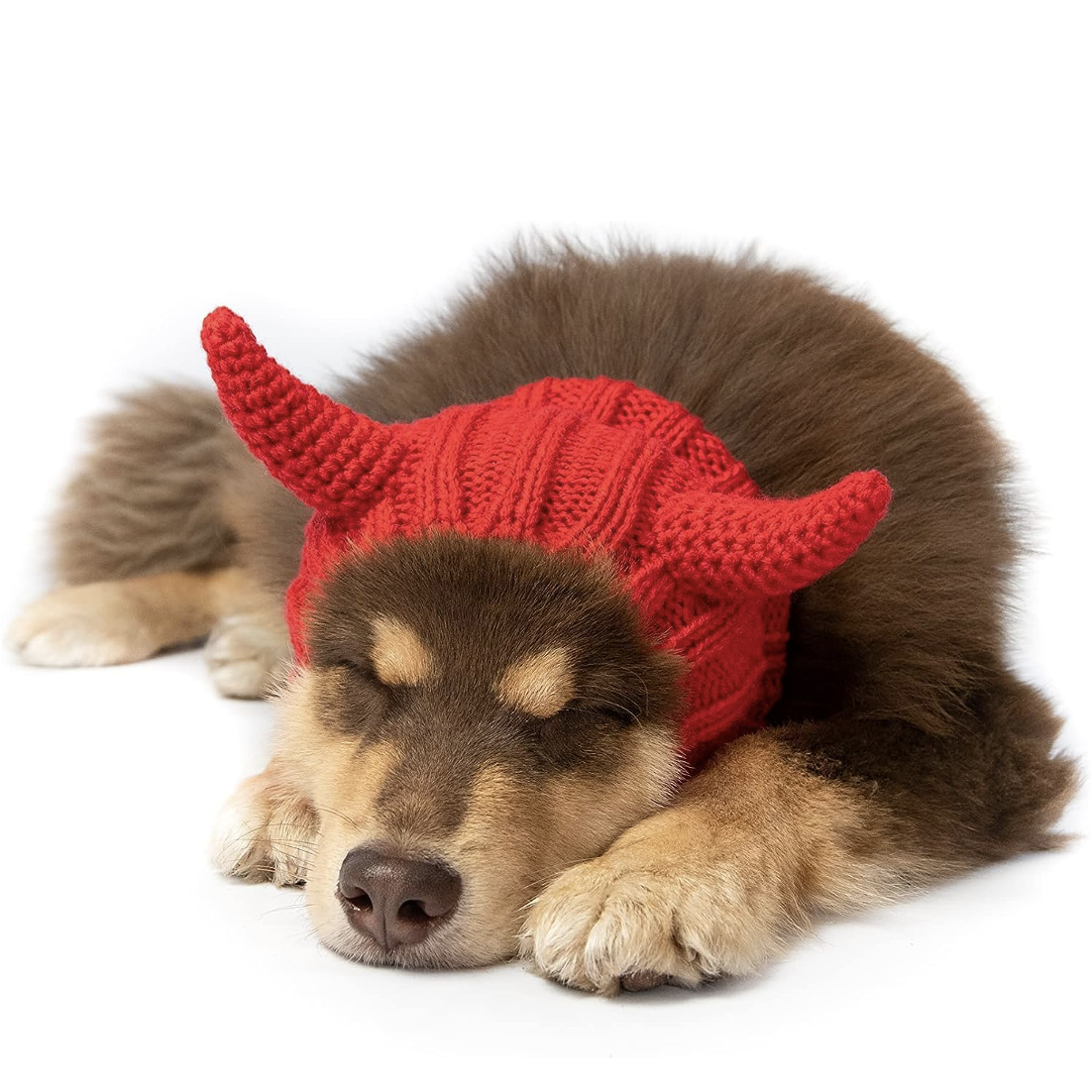 devil dog hat