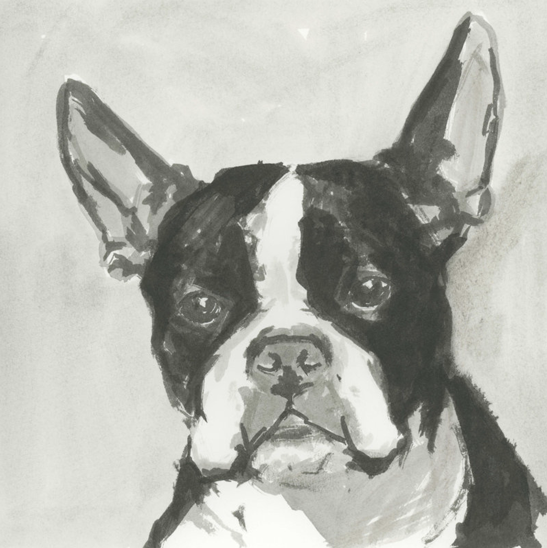 french bulldog art contemporary modern 