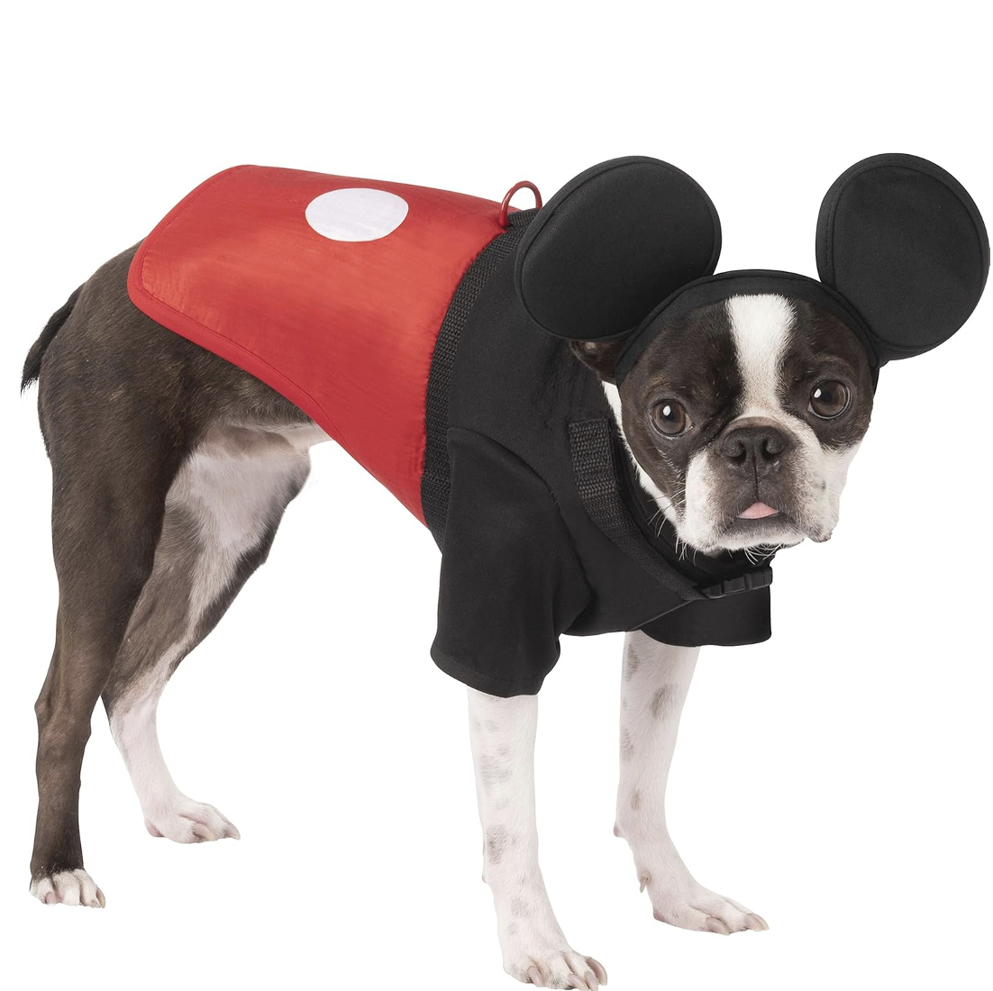 mickey mouse dog costume 