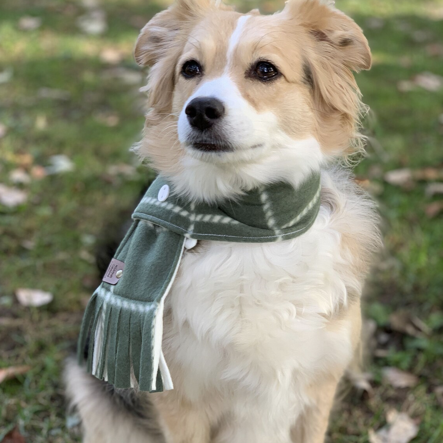 green Pet Winter Scarf