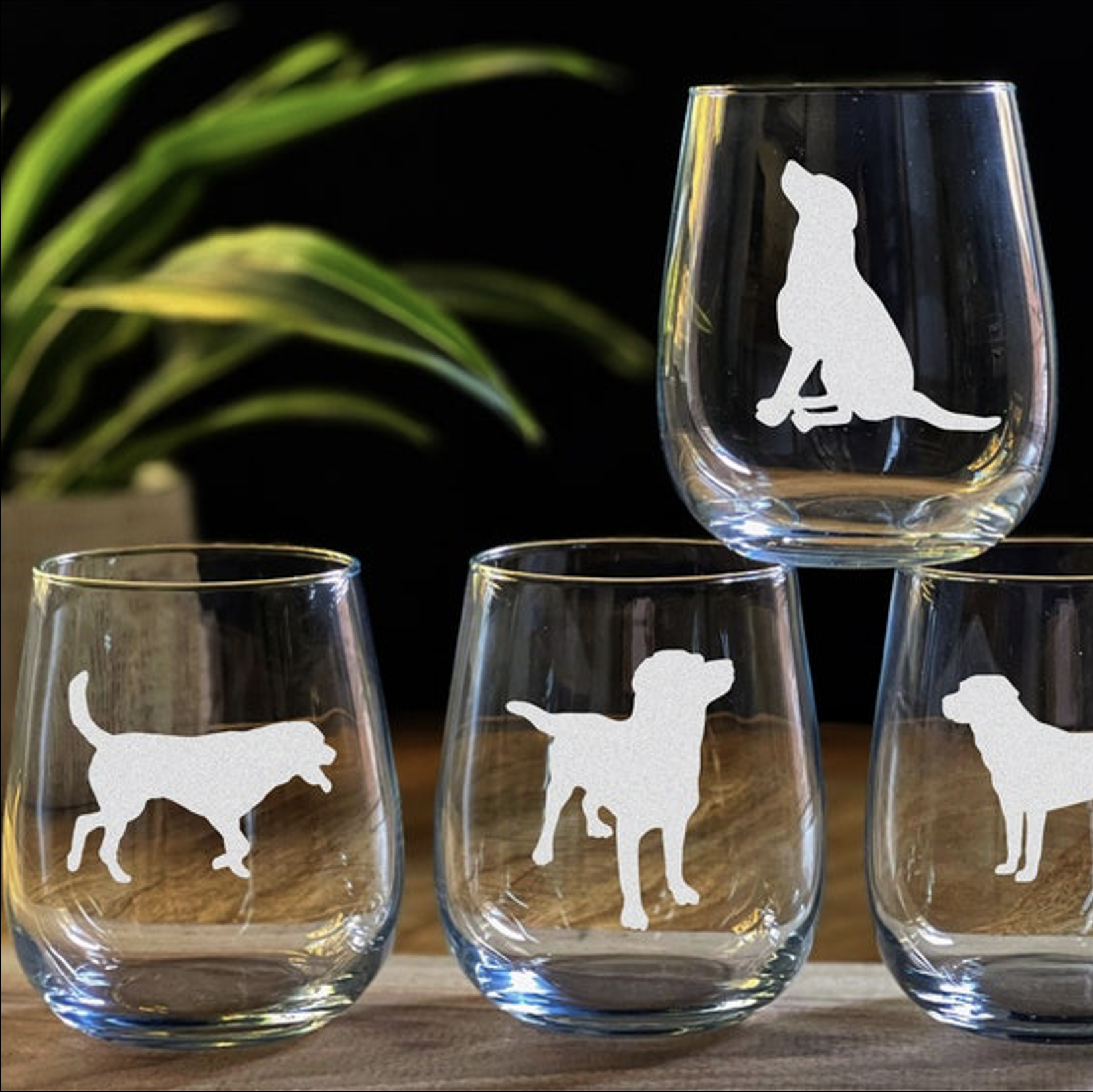 labrador retriever dog wine glasses