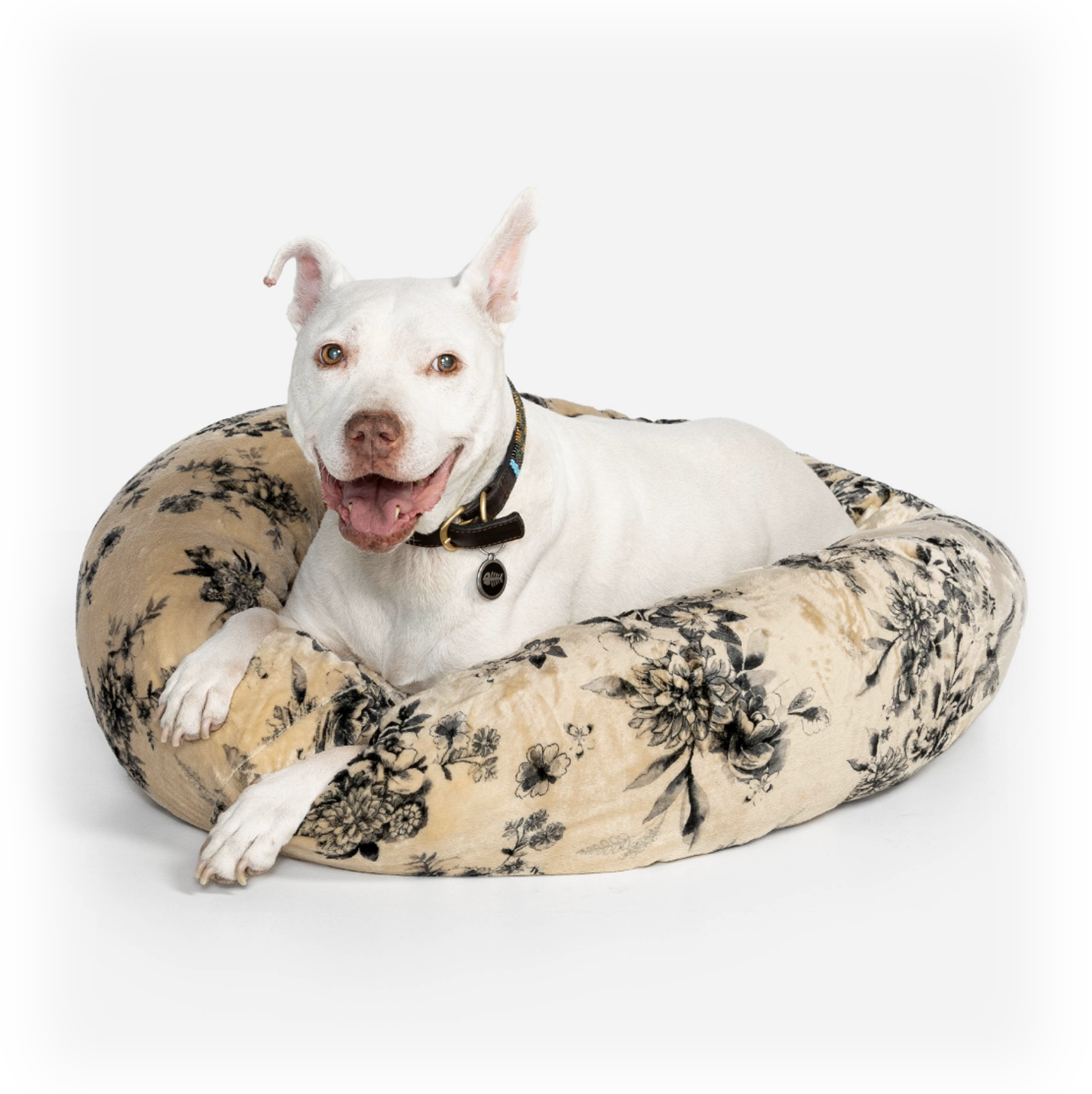 johnny was black floral dog bed transitional modern pretty chic dog cat pet beds