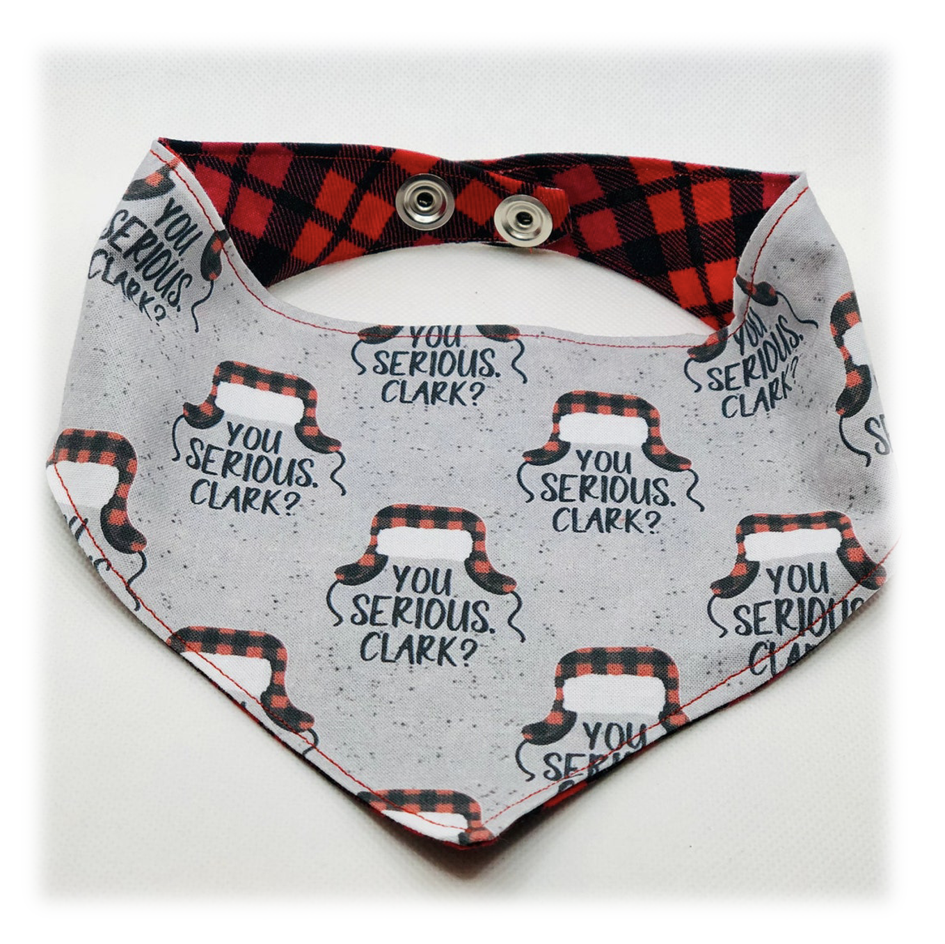 YOU SERIOUS CLARK DOG BANDANA