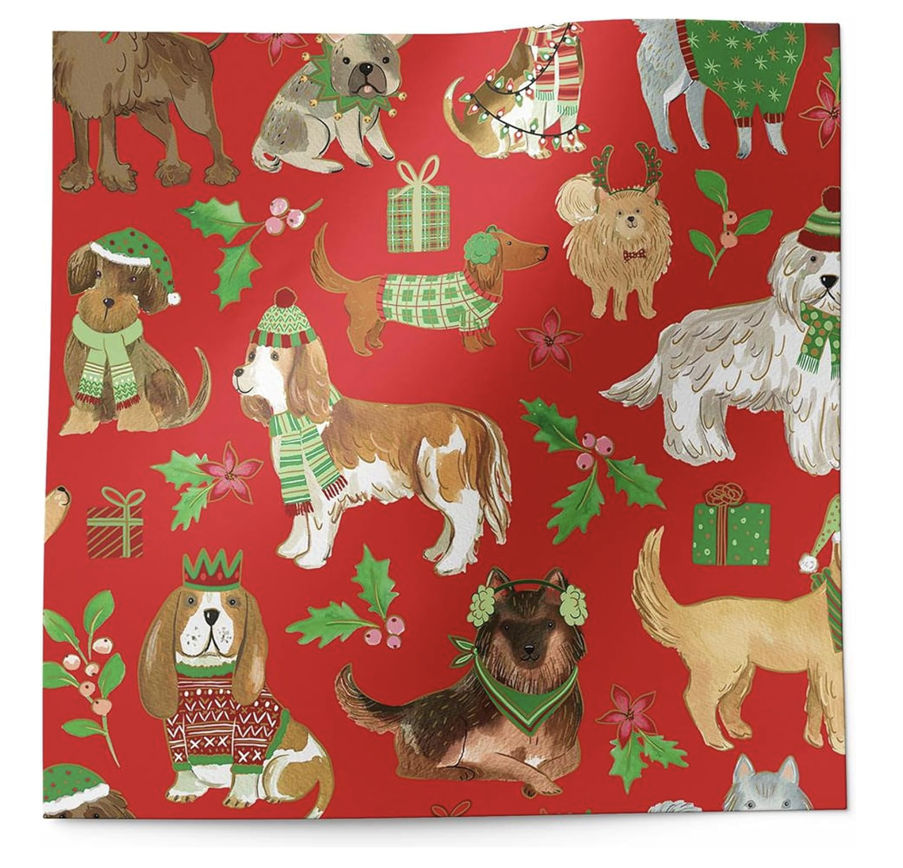 red dog tissue paper 