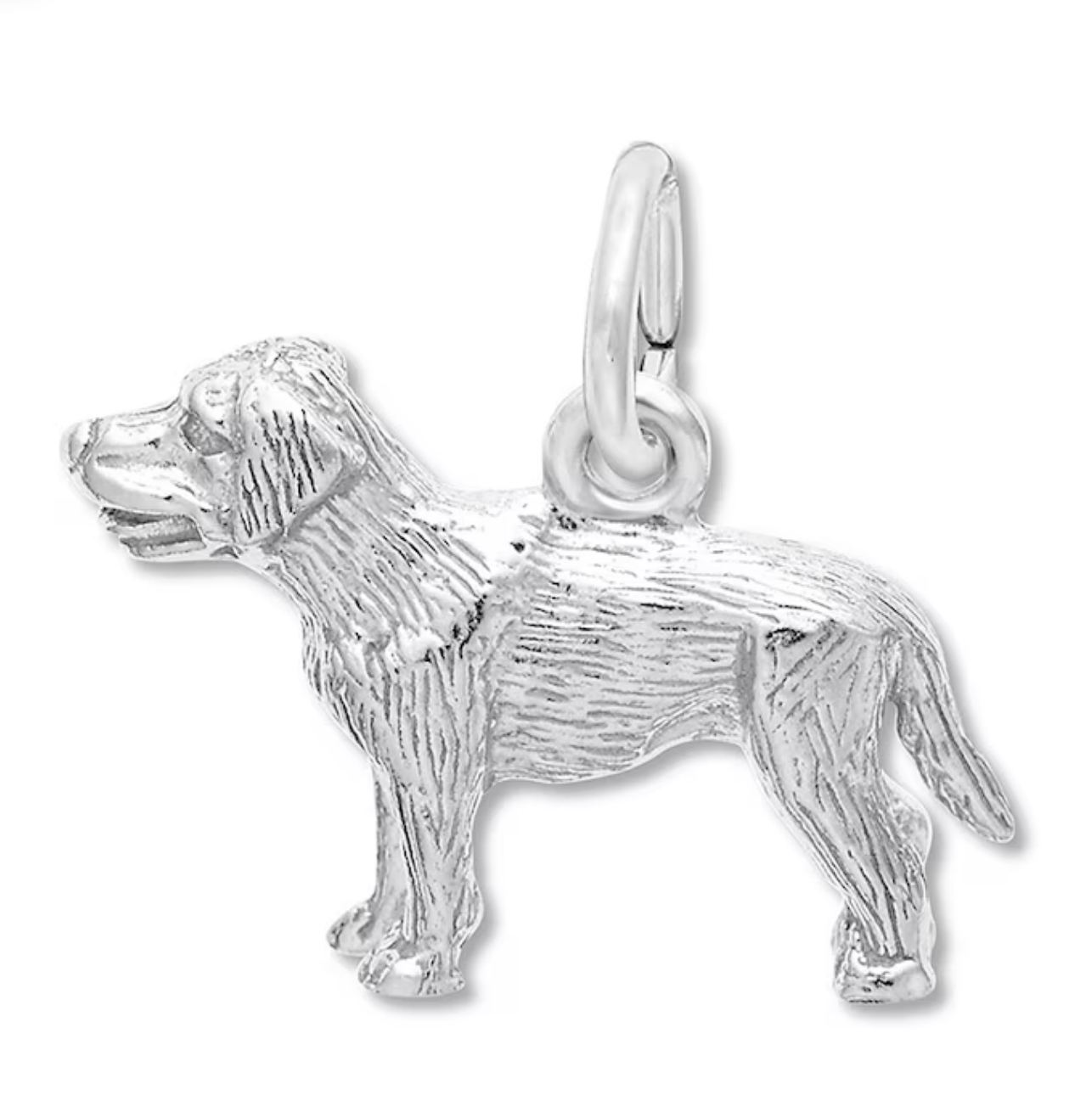 Silver Labrador Dog Charm